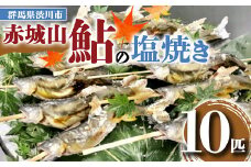 赤城山 鮎の塩焼き 10匹 あゆ アユ 鮎 魚 焼き魚 国産 F4H-0018