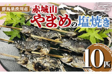 赤城山 やまめの塩焼き 10匹 ヤマメ 山女魚 川魚 魚 焼き魚 F4H-0019