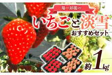 陽一郎園のおすすめいちごと淡雪のセット 約1kg イチゴ 苺 果物 くだもの フルーツ 食べ比べ 数量限定 F4H-0035