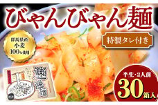 びゃんびゃん麺（半生・2人前）特製タレ付き×30箱入 中国 郷土料理 中華 ビャンビャン麺 めん F4H-0056