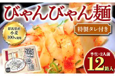 びゃんびゃん麺（半生・2人前）特製タレ付き×12箱入 中国 郷土料理 中華 ビャンビャン麺 めん F4H-0054