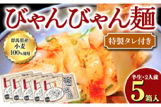 びゃんびゃん麺（半生・2人前）特製タレ付き×5箱入 中国 郷土料理 中華 ビャンビャン麺 麺類 めん F4H-0051
