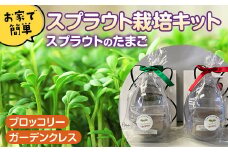 スプラウトのたまご（土耕栽培キット） 家庭菜園 種 室内 野菜 栽培 ブロッコリースプラウト ガーデンクレス F4H-0001