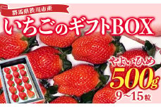 群馬県渋川市産 いちご「やよいひめ」ギフトBOX いちご イチゴ 苺 フルーツ 果物 F4H-0067