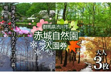 赤城自然園 入園券 チケット 入場券 自然観察園 F4H-0082