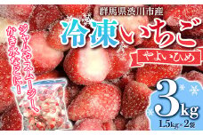群馬県渋川市産冷凍いちご 「やよいひめ」3kg いちご イチゴ 苺 冷凍 小分け フルーツ 果物 国産 F4H-0068