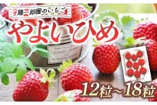 陽一郎園の大粒いちごS（シングル） いちご イチゴ 苺 フルーツ 果物 F4H-0030