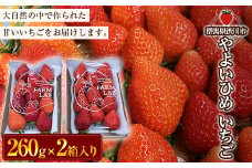 やよいひめ いちご2パック イチゴ 苺 フルーツ 果物 F4H-0085