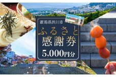 渋川市ふるさと感謝券 5,000円分（1000円×5枚） 伊香保温泉 うどん 宿泊 旅行 観光 ホテル 旅館 トラベル 飲食 お土産 F4H-0556