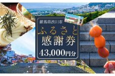 渋川市ふるさと感謝券 43,000円分（1000円×43枚） 伊香保温泉 うどん 宿泊 旅行 観光 ホテル 旅館 トラベル 飲食 お土産 F4H-0559