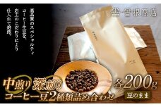 中煎りと深煎りのコーヒー豆 2種類 詰め合わせ（各200g） ブレンド シングルオリジン オフィス  アウトドア キャンプ おうち時間 群馬県 渋川市 F4H-0122