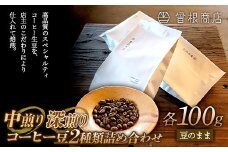 中煎りと深煎りのコーヒー豆 2種類 詰め合わせ（各100g） ブレンド シングルオリジン オフィス  アウトドア キャンプ おうち時間 群馬県 渋川市 F4H-0124