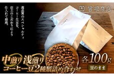 中煎りと浅煎りのコーヒー豆 2種類 詰め合わせ（各100g） ブレンド シングルオリジン オフィス  アウトドア キャンプ おうち時間 群馬県 渋川市 F4H-0125