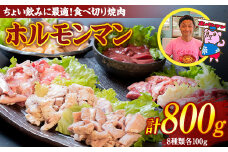 ちょい飲みに最適！食べ切り焼肉「ホルモンマン」セット800g 豚ホルモン 豚肉 焼肉 BBQ ガツナンコツ レバー 白モツ 大トロ ハラミ カシラ 群馬県 渋川市 F4H-0180
