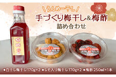 手作り「うんめー干し」と梅酢の詰め合わせ（梅干し2種、梅酢1本） 梅干し うめぼし 梅 しそ梅 セット 群馬県 渋川市 F4H-0175