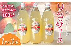渋川のおいしいりんごで作ったストレートりんごジュース（1L×3本）リンゴ 林檎 ジュース 果実飲料 フルーツジュース 群馬県 渋川市 F4H-0176