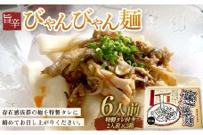 特製タレ付き半生麺使用 旨辛「びゃんびゃん麺」6人前 中国 郷土料理 中華 ビャンビャン麺 麺類 めん ふるさと 故郷 納税 群馬 渋川市 F4H-0197