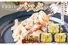 乳酸菌入りパスタ6人前 麺 パスタ フェットチーネ 平麺 生パスタ F4H-0198