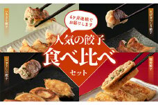 【定期便】4ヵ月連続 餃子工房いろどり食べ比べセット 冷凍生餃子 ぎょうざ ギョウザ 惣菜 F4H-0215