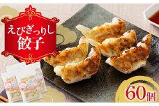 えびぎっしり餃子 60個 焼餃子 水餃子 中華 ぎょうざ ギョーザ お弁当 おかず F4H-0217