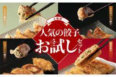 人気餃子の4種類お試しセット 冷凍 焼餃子 水餃子 中華 ぎょうざ ギョーザ お弁当 おかず F4H-0218