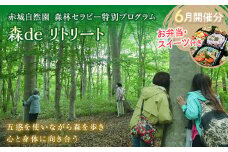 赤城自然園 森林セラピー特別プログラム「森deリトリート」参加チケット6月開催分 お弁当スイーツ付き リフレッシュ F4H-0227