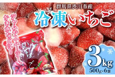群馬県渋川市産 冷凍いちご 3kg いちご イチゴ 苺 冷凍 小分け フルーツ 果物 国産 F4H-0273