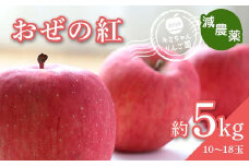2023年秋発送 減農薬 りんご おぜの紅 約5kg （10～18玉） 甘い リンゴ 果物 お取り寄せ 贈答品 ギフト F4H-0128