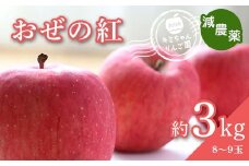 2023年秋発送 減農薬 りんご おぜの紅 約3kg （8～9玉） 甘い リンゴ 果物 お取り寄せ 贈答品 ギフト F4H-0127