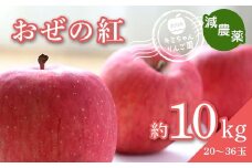 2023年秋発送 減農薬 りんご おぜの紅 約10kg （20～36玉） 甘い リンゴ 果物 お取り寄せ 贈答品 ギフト F4H-0129