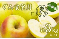 2023年秋発送 減農薬 りんご ぐんま名月 約3kg （8～9玉） 甘い リンゴ 果物 希少 お取り寄せ 贈答品 ギフト F4H-0130