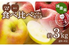 2023年秋発送 減農薬 りんご ぐんま名月とふじの食べ比べセット 約3kg （8～9玉） 甘い リンゴ 果物 希少 お取り寄せ 贈答品 ギフト F4H-0133