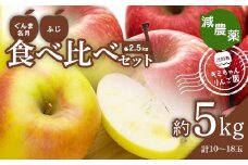 2023年秋発送 減農薬 りんご ぐんま名月とふじの食べ比べセット 約5kg （10～18玉） 甘い リンゴ 果物 希少 お取り寄せ 贈答品 ギフト F4H-0134