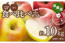 2023年秋発送 減農薬 りんご ぐんま名月とふじの食べ比べセット 約10kg （20～36玉） 甘い リンゴ 果物 希少 お取り寄せ 贈答品 ギフト F4H-0135