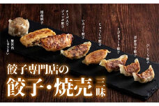 餃子専門店の餃子焼売三昧 冷凍 焼き餃子 餃子 詰合せ 焼売 水餃子 ぎょうざ ギョーザ お弁当 おかず 中華 F4H-0274