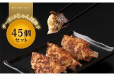 チーズ入りじゃんぼ餃子 45個 冷凍 焼き餃子 餃子 詰合せ 焼売 水餃子 ぎょうざ ギョーザ お弁当 おかず 中華 F4H-0275
