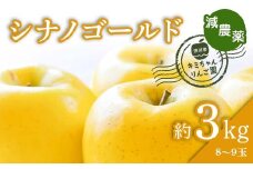 2023年秋発送 減農薬 りんご シナノゴールド 約3kg （8～9玉） 甘い リンゴ 果物 お取り寄せ 贈答品 ギフト F4H-0136