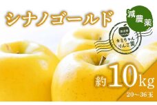 2023年秋発送 減農薬 りんご シナノゴールド 約10kg （20～36玉） 甘い リンゴ 果物 お取り寄せ 贈答品 ギフト F4H-0138