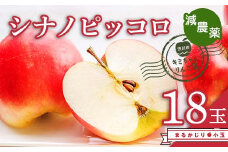 2023年秋発送 減農薬 まるかじり りんご シナノピッコロ18玉 小玉 甘い リンゴ 果物 希少 お取り寄せ 贈答品 ギフト F4H-0139