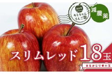 2023年秋発送 減農薬 まるかじり りんご スリムレッド 18玉 小玉甘い リンゴ 果物 希少 お取り寄せ 贈答品 ギフト F4H-0140