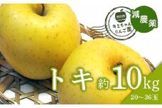 2023年秋発送 減農薬 りんご トキ 約10kg （20～36玉） 甘い リンゴ 果物 お取り寄せ 贈答品 ギフト F4H-0143