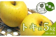 2023年秋発送 減農薬 りんご トキ 約5kg （10～18玉） 甘い リンゴ 果物 お取り寄せ 贈答品 ギフト F4H-0142