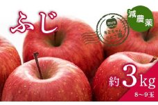 2023年秋発送 減農薬 りんご ふじ 約3kg （8～9玉） 甘い リンゴ 果物 お取り寄せ 贈答品 ギフト F4H-0144
