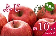 2023年秋発送 減農薬 りんご ふじ 約10kg （20～36玉） 甘い リンゴ 果物 お取り寄せ 贈答品 ギフト F4H-0146