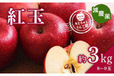 2023年秋発送 減農薬 りんご 紅玉 約3kg （8～9玉） 甘い リンゴ 果物 お取り寄せ 贈答品 ギフト F4H-0147