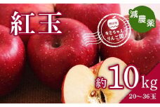 2023年秋発送 減農薬 りんご 紅玉 約10kg （20～36玉） 甘い リンゴ 果物 お取り寄せ 贈答品 ギフト F4H-0149