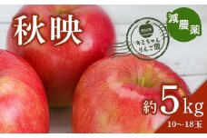 2023年秋発送 減農薬 りんご 秋映 約5kg （10～18玉） 甘い リンゴ 果物 お取り寄せ 贈答品 ギフト F4H-0154