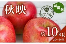 2023年秋発送 減農薬 りんご 秋映 約10kg （20～36玉） 甘い リンゴ 果物 お取り寄せ 贈答品 ギフト F4H-0155
