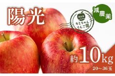 2023年秋発送 減農薬 りんご陽光 約10kg （20～36玉） 甘い リンゴ 果物 お取り寄せ 贈答品 ギフト F4H-0158
