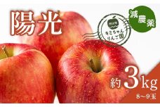 2023年秋発送 減農薬 りんご 陽光 約3kg （8～9玉） 甘い リンゴ 果物 お取り寄せ 贈答品 ギフト F4H-0156